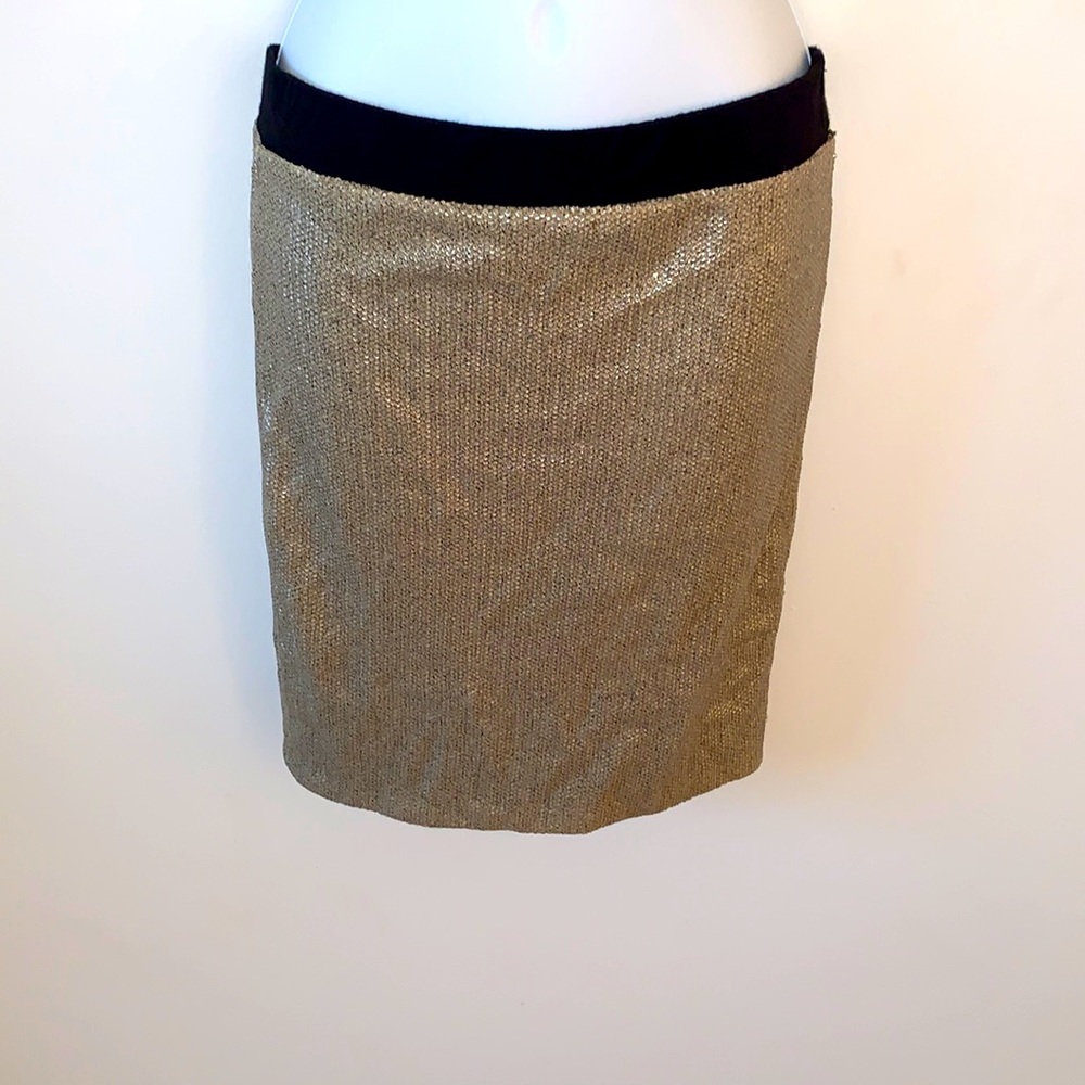Aqua Gold Sequin Pencil Skirt